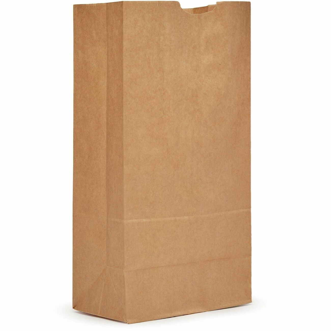 Bag Ppr 20# Extra Hvy Dty
