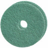 Diversey Pad Floor Grn 14X20 In