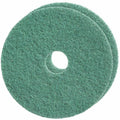 Diversey Pad Floor Grn 14X20 In