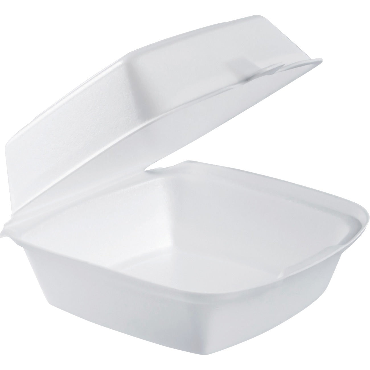 Tray Foam Hinged Large 6'