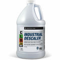 Descaler Industrial Promax