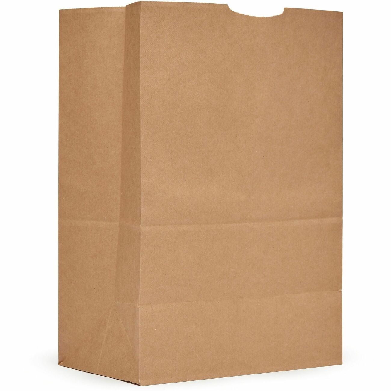 Sack Grocery 1/6 Bbl 52#