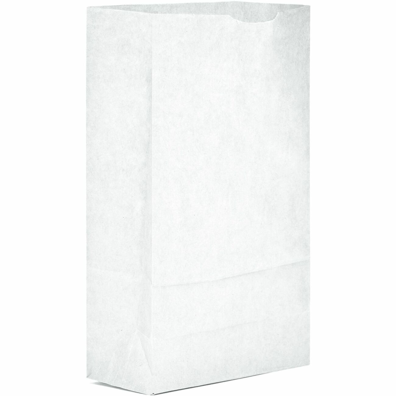 Bag Paper 6# White