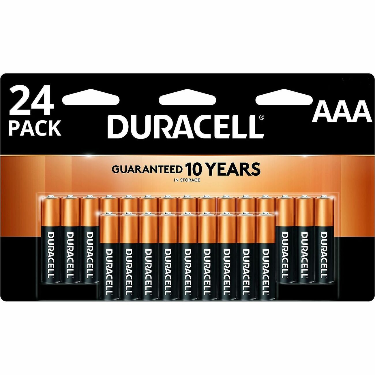Battery Powerb Alka Aaa