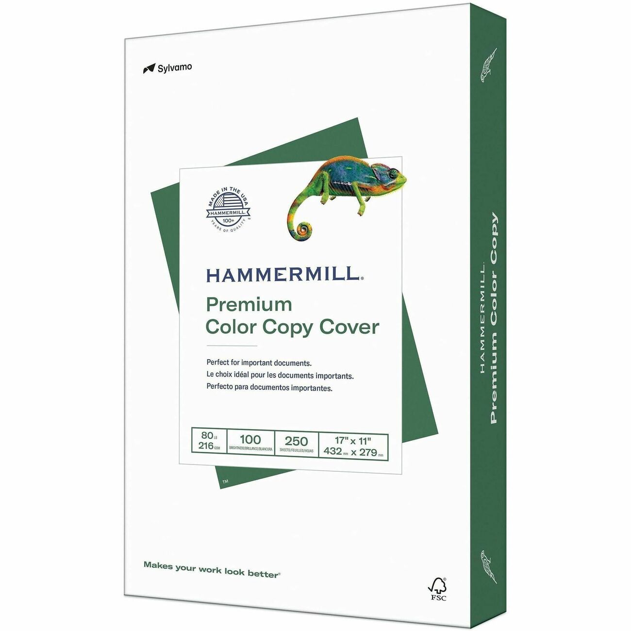 Hammermill Paper Cover 17X11 We