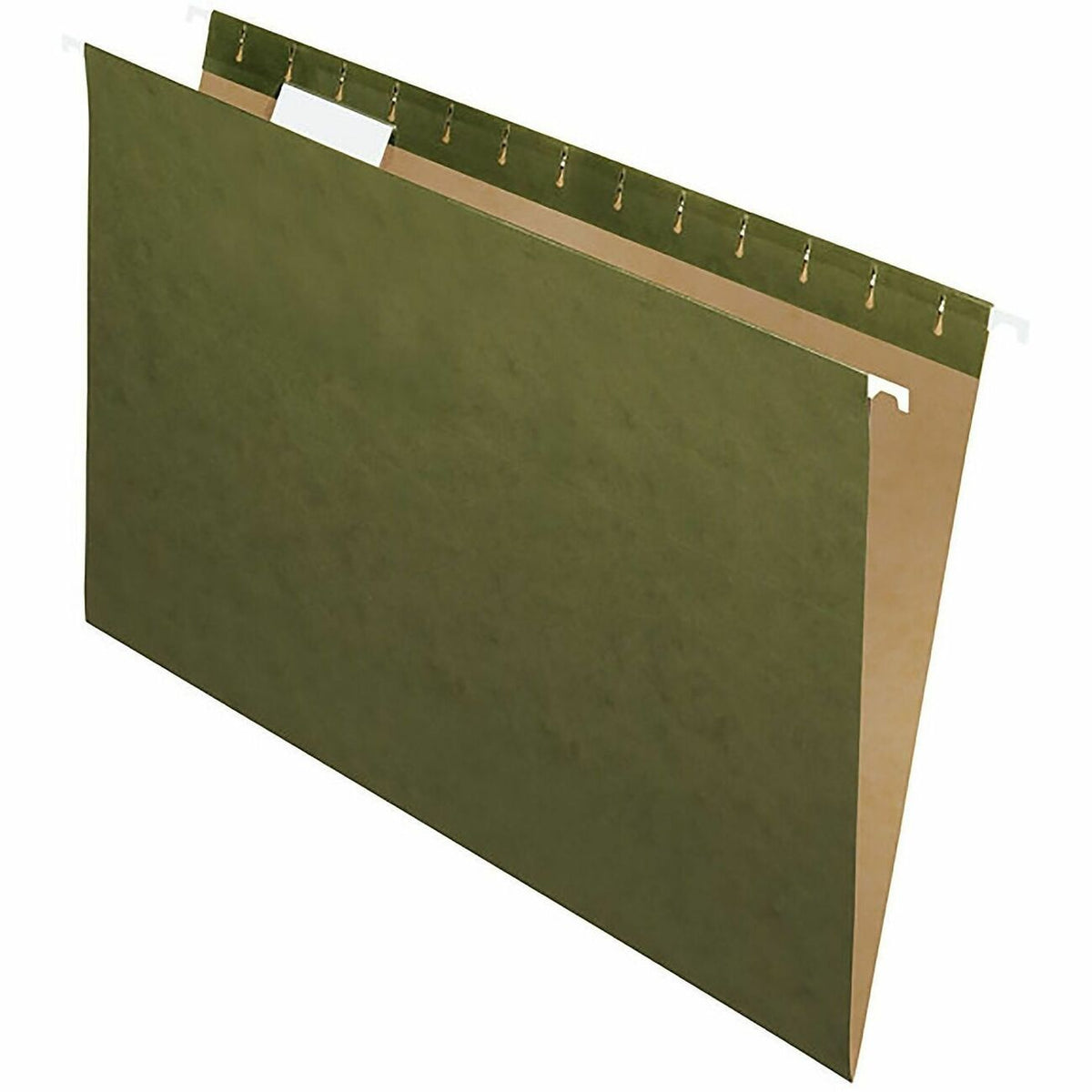 Business Source File Hanging Lgl Gn 1/5 Cut