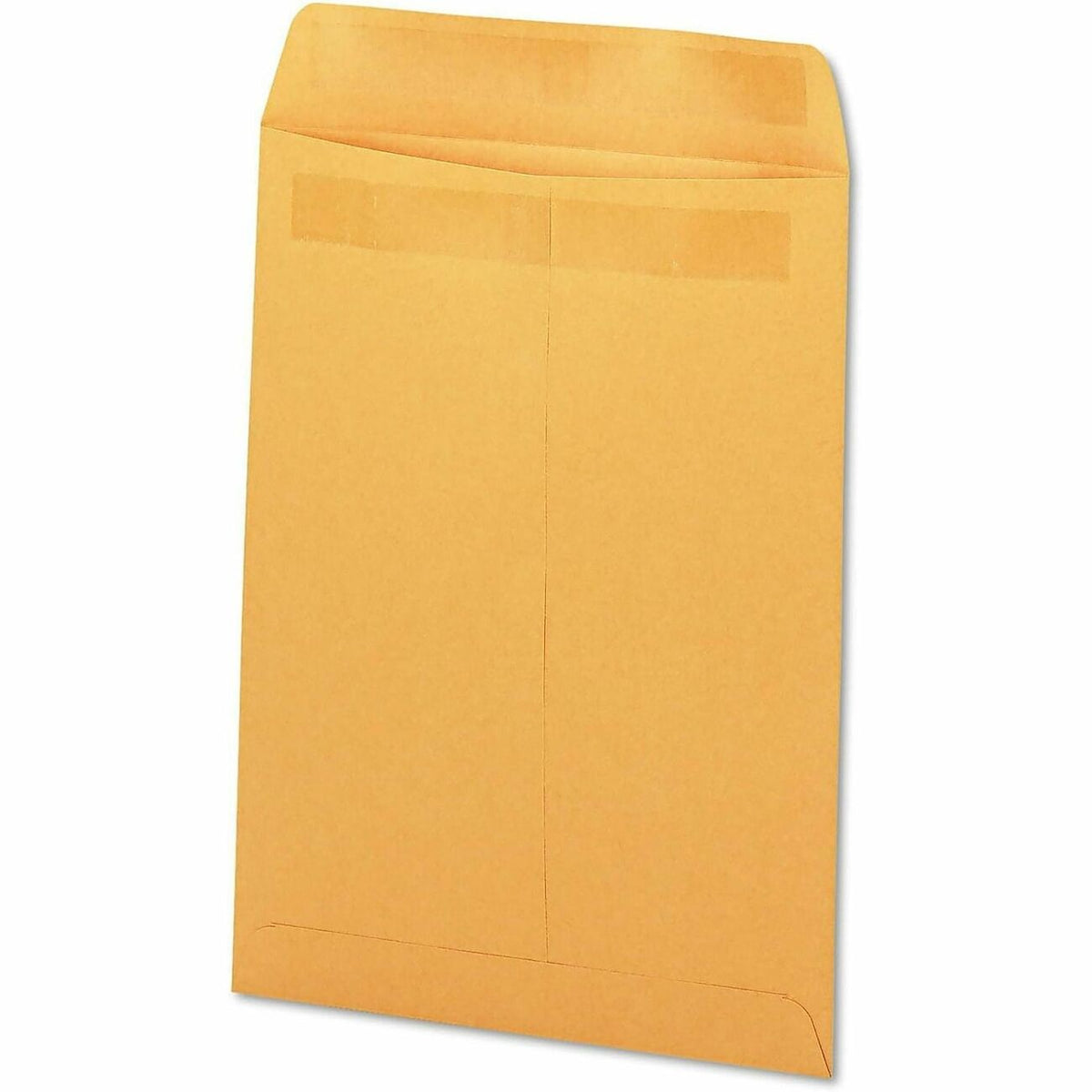Business Source Envelope Cat 10X13 28#