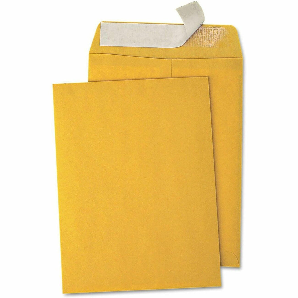 Business Source Envelope Cat 9X12 Bn Ps