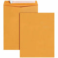 Business Source Envelope Cat 10X13 Bn Ps