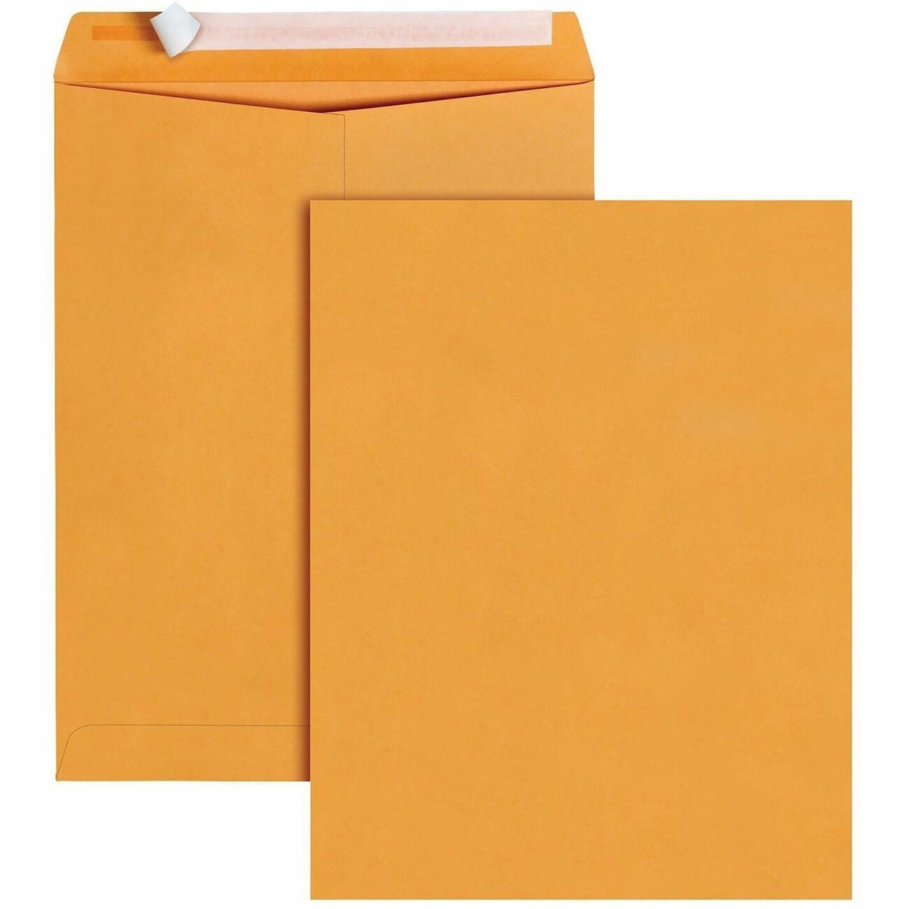 Business Source Envelope Cat 10X13 Bn Ps