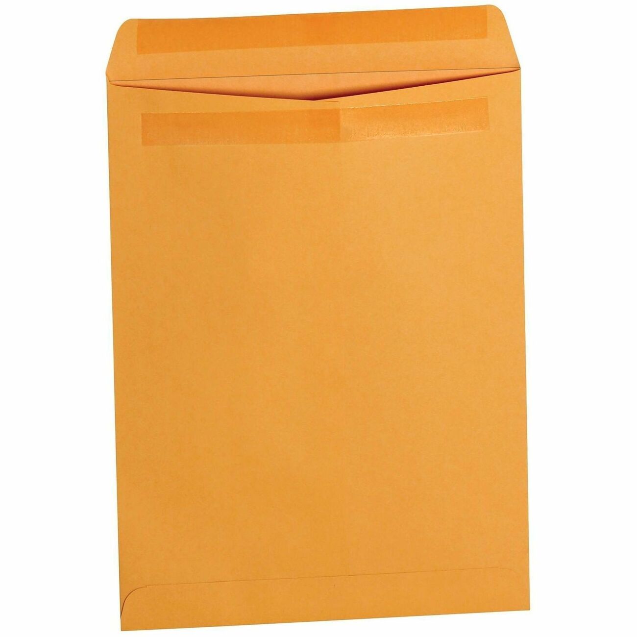 Business Source Envelope Cat 9X12 28#