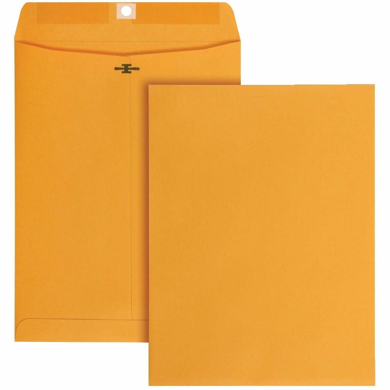 Business Source Envelope Catalog 9X12 Kr