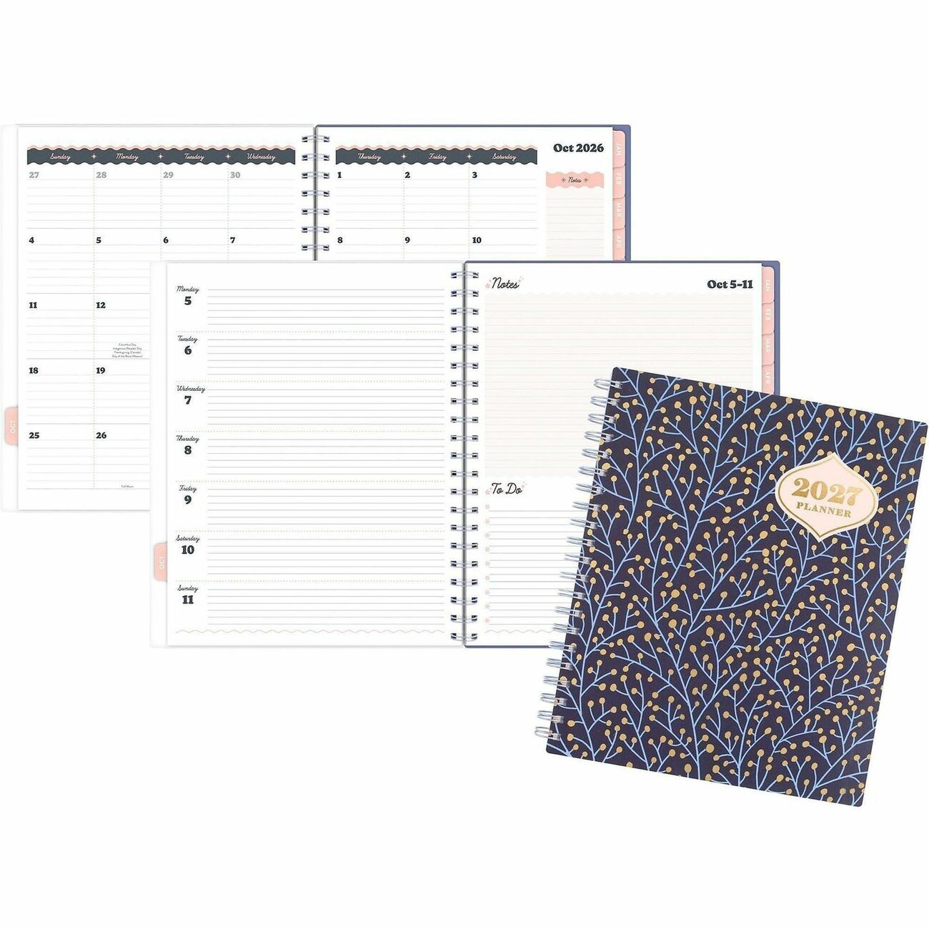 AT-A-GLANCE Planner Catcoq Wk/Mo Lg Blu