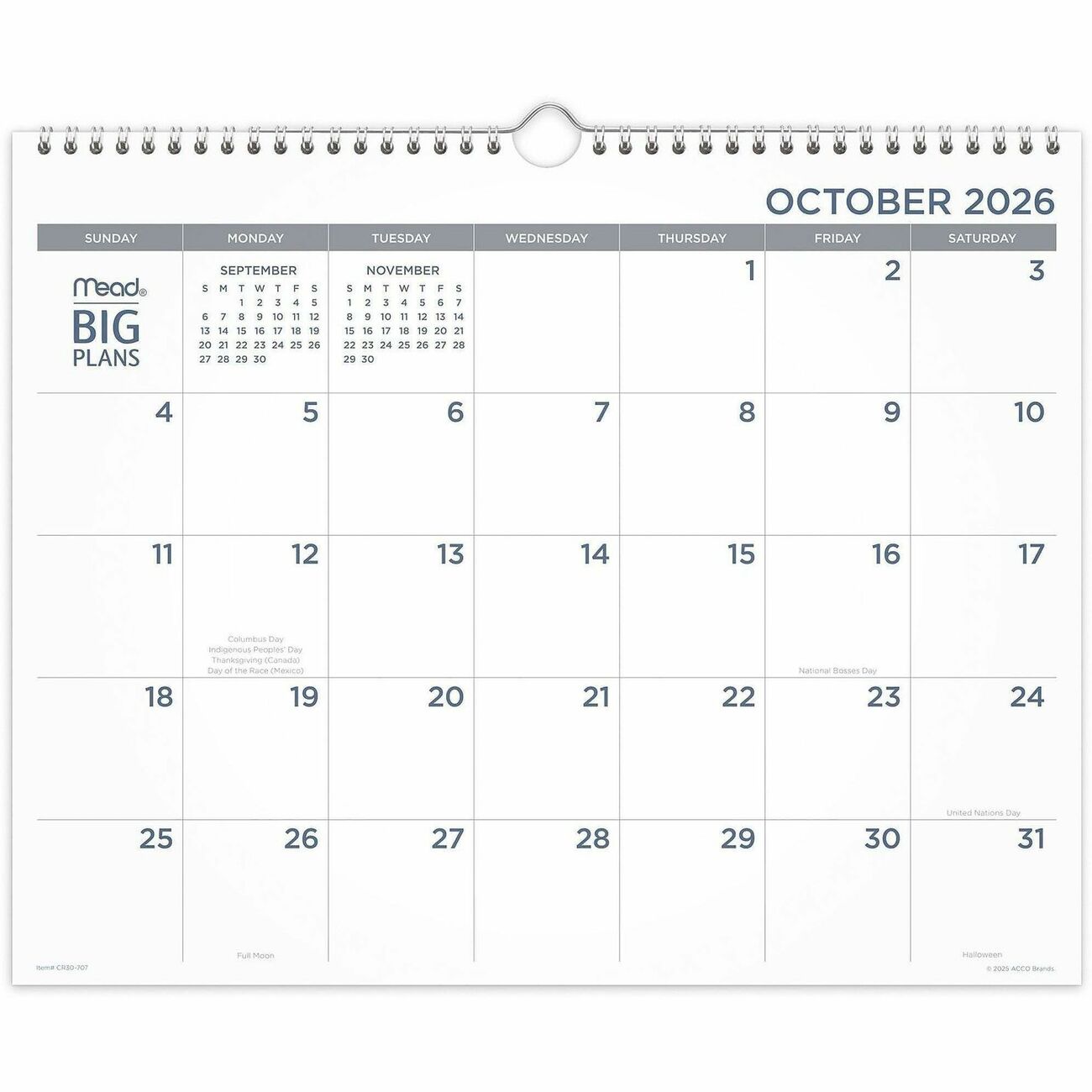 AT-A-GLANCE Wall Big Plans Mthly Med