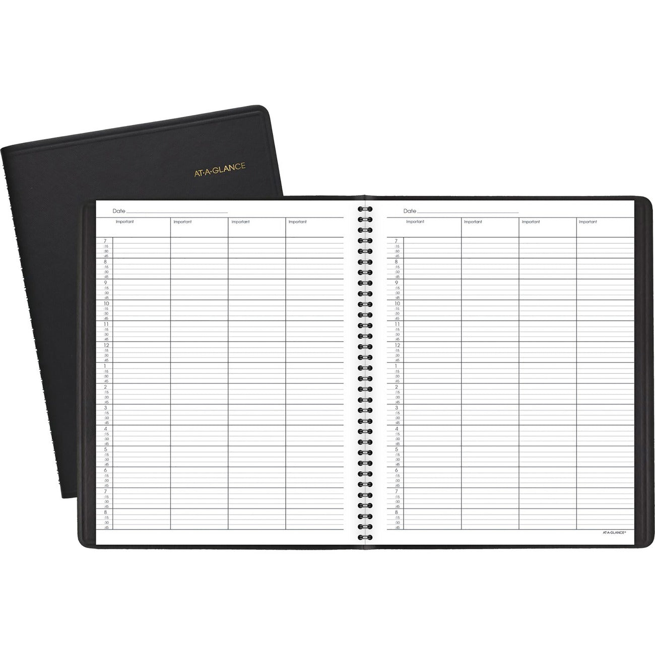 AT-A-GLANCE Book Appt Daily 4Prsn Undtd