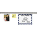 Advantus Rail Dsply Grip-A-Strip 12