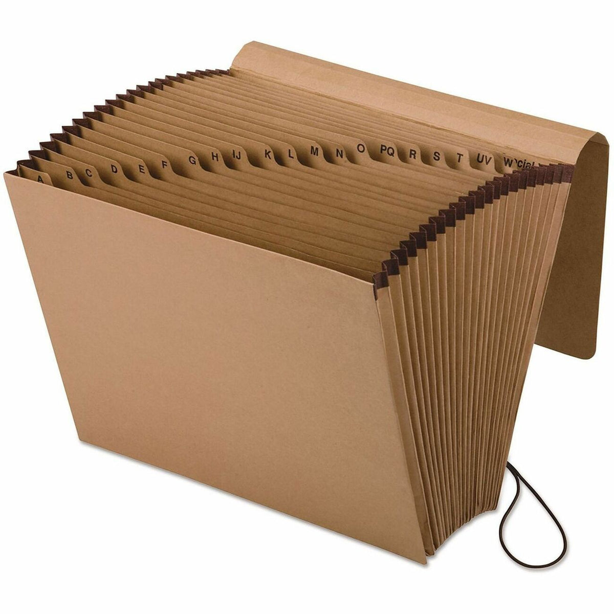 Pendaflex Essentials Letter Expanding File
