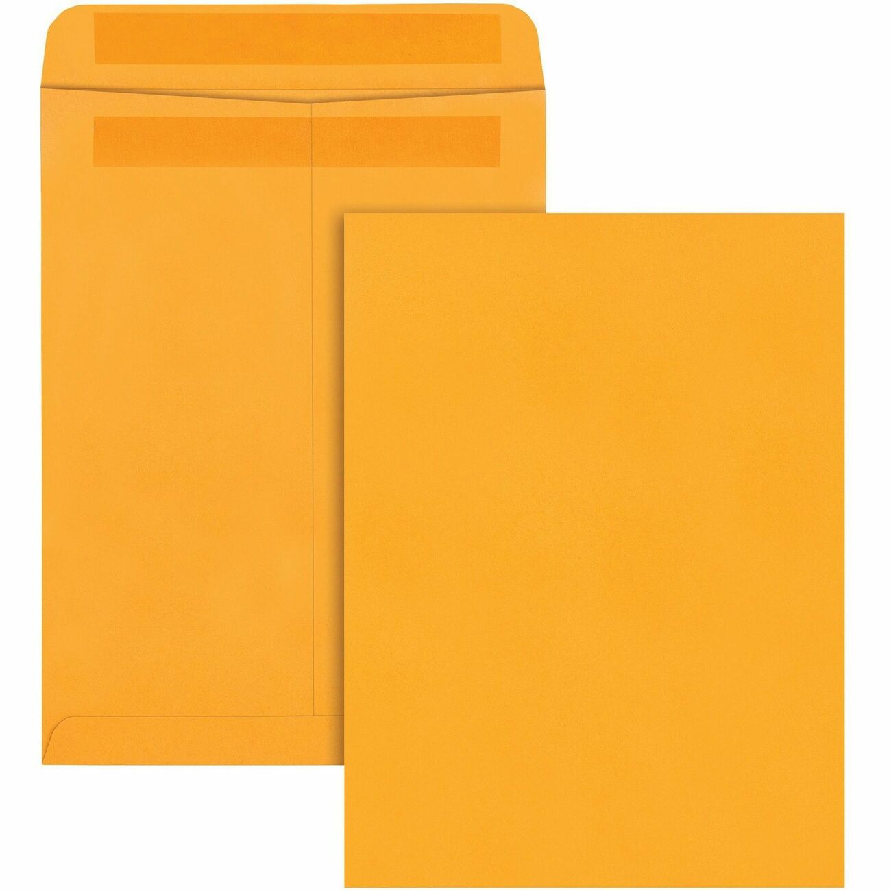 Business Source Folder Interior Ltr 1/3 Be