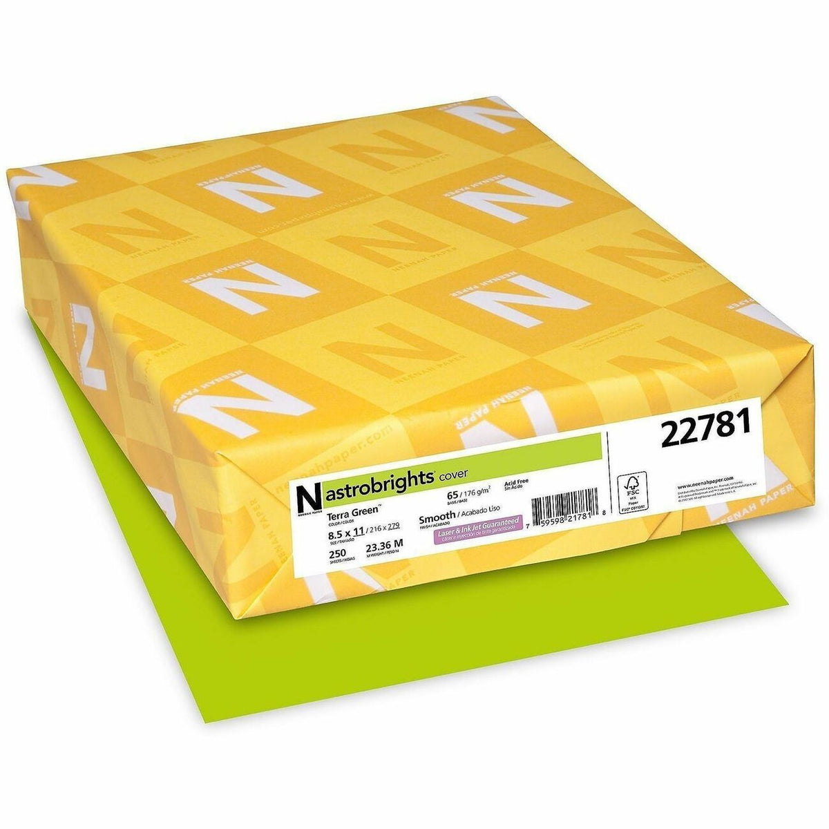 Astrobrights Color Card Stock - Terra Green