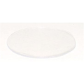 Replacement Lens