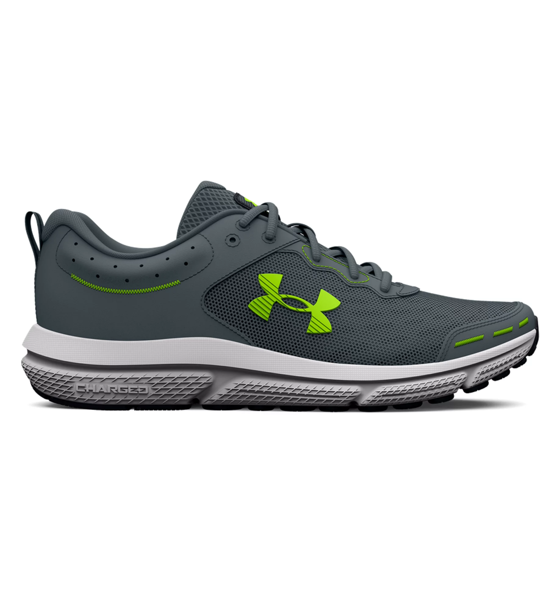 UA Charged Assert 10