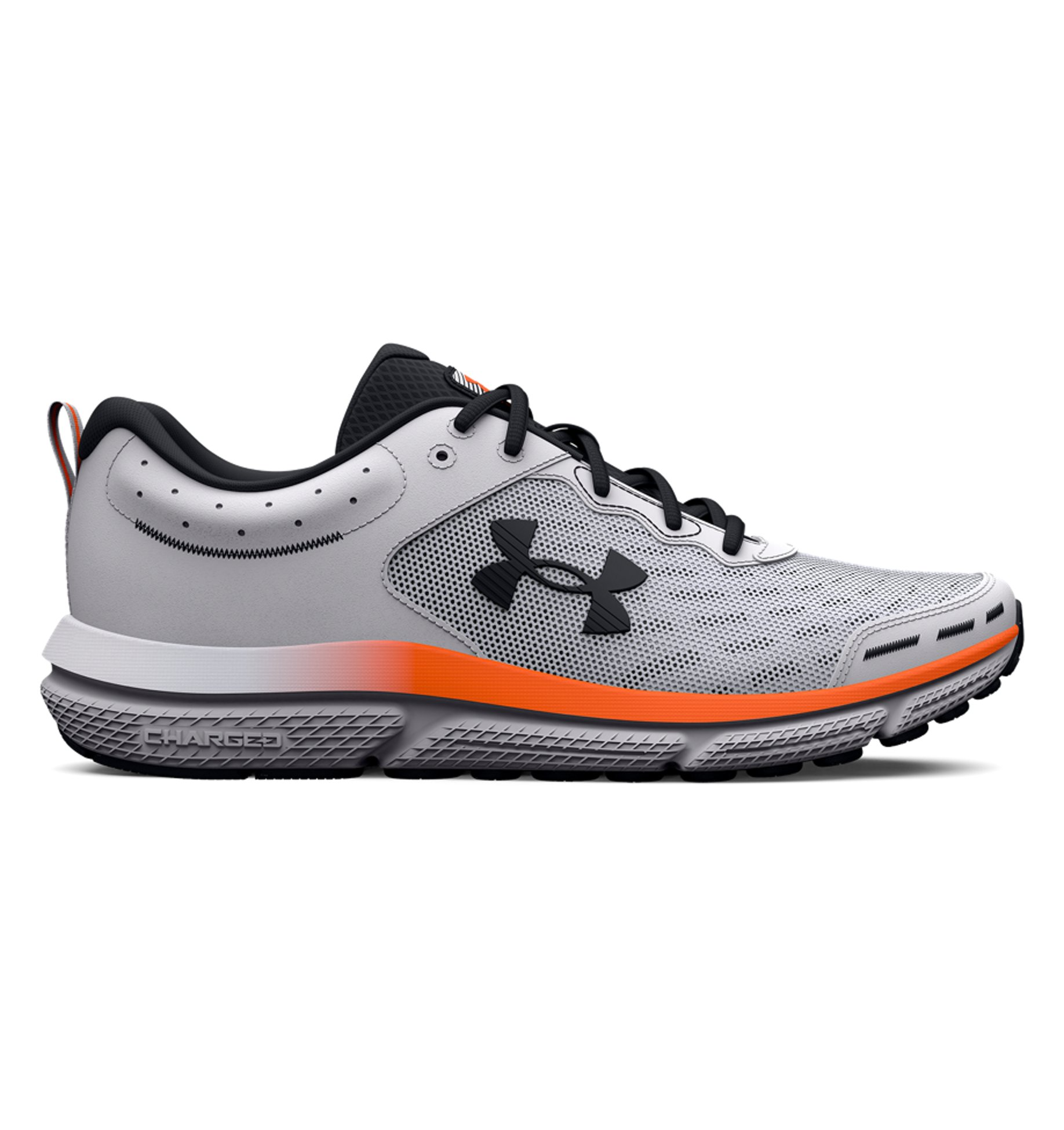UA Charged Assert 10