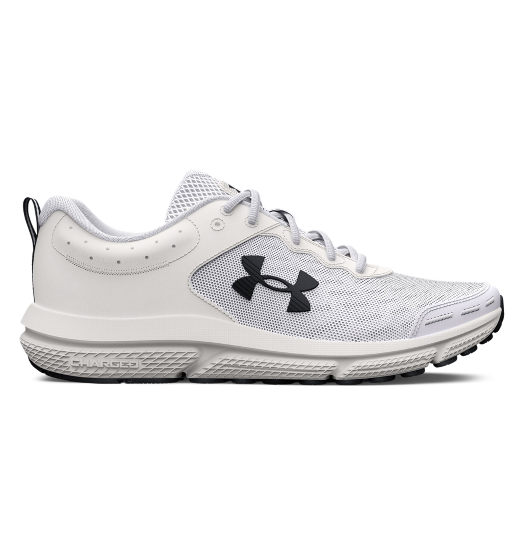 UA Charged Assert 10