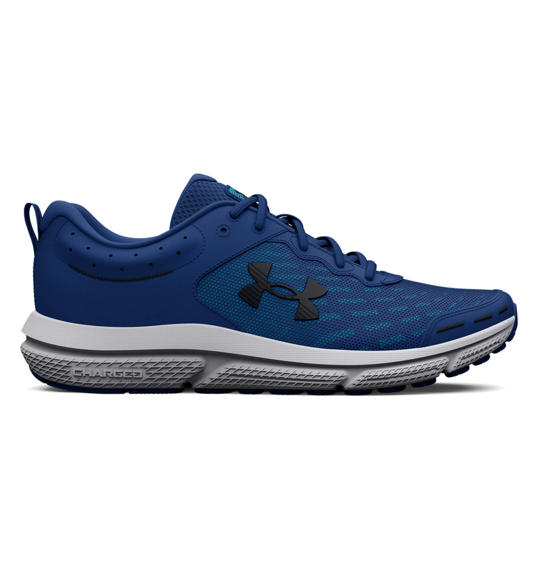 UA Charged Assert 10
