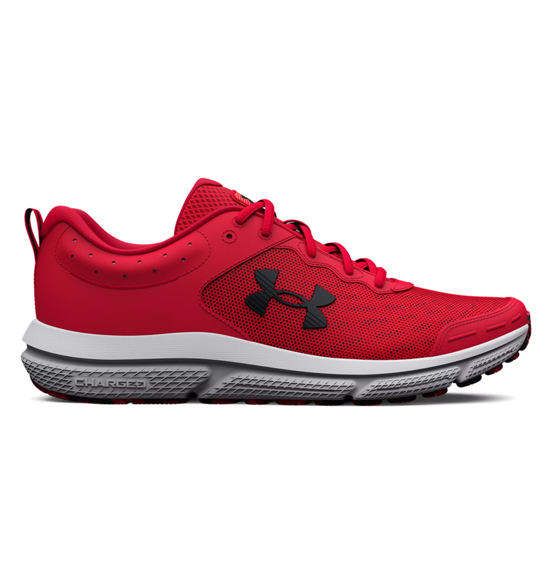 UA Charged Assert 10