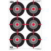 Dirty Bird 12 x 18 Multiple Bull's-Eye Target