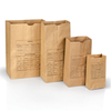 Printed Paper Evidence Bags Style 12