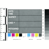 Photo ID Cards, Pad of 25
