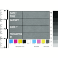 Photo ID Cards, Pad of 25