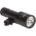 Dual Beam Weapon Lighting System