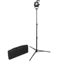 2500-Lumen Rechargeable LED Scene Light