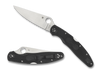 Police Model