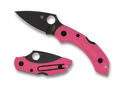 Dragonfly 2    Pink Heals