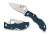 Ladybug 3 K390