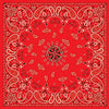 Bandanna