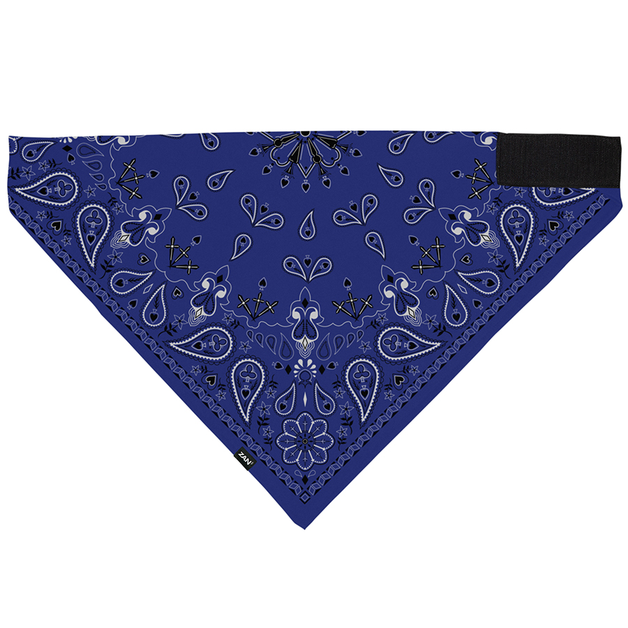 Bandanna