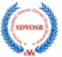 Service-Disabled Veteran-Owned Small Business (SDVOSB)