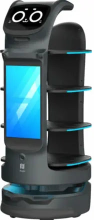 Autonomous service and delivery robot